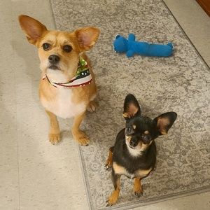 Meet your Posher, Mindi